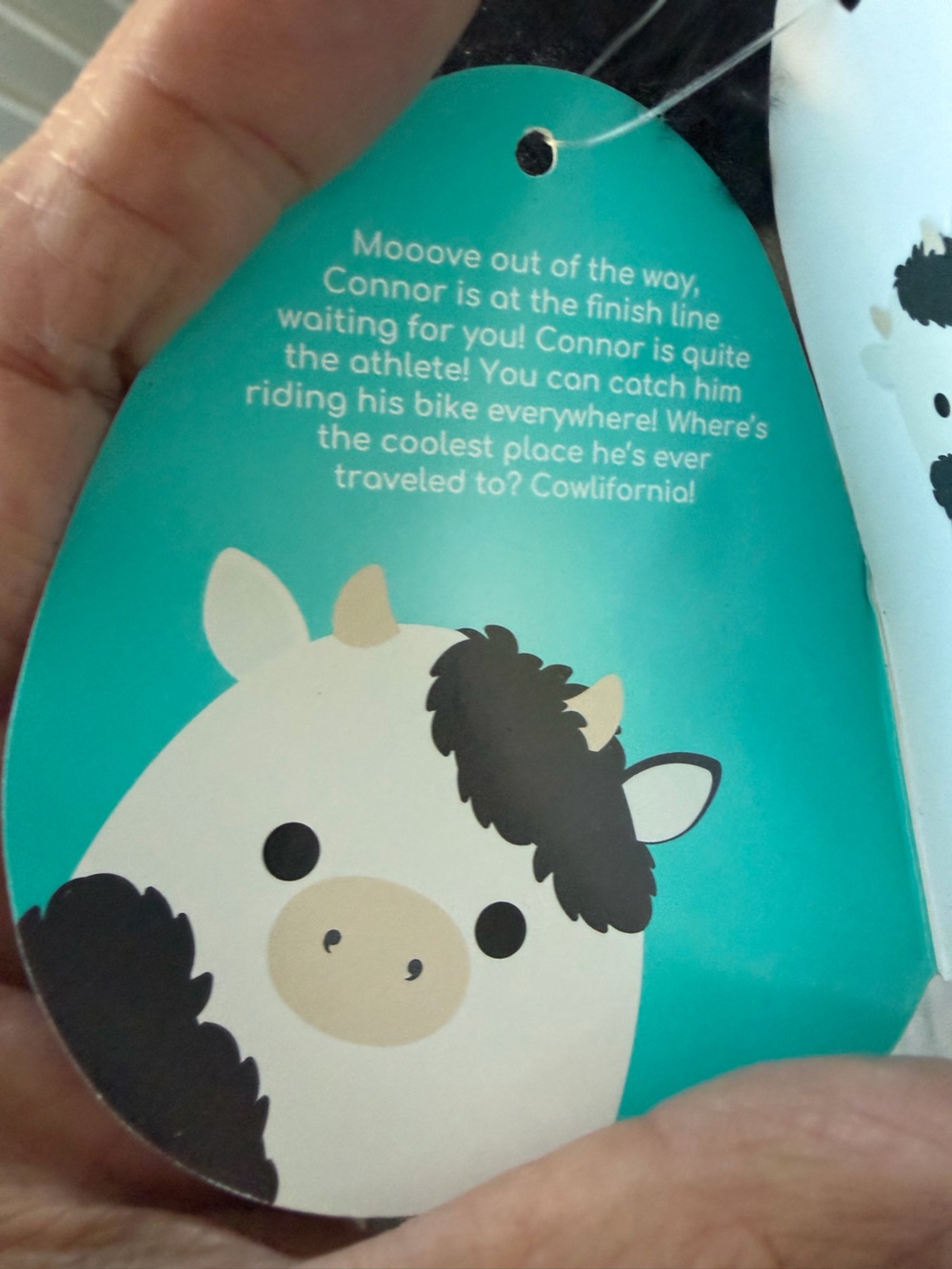 NWT Squishmallows 8” Connor the Cow with Fuzzy Patches Plush - Picture 5 of 10